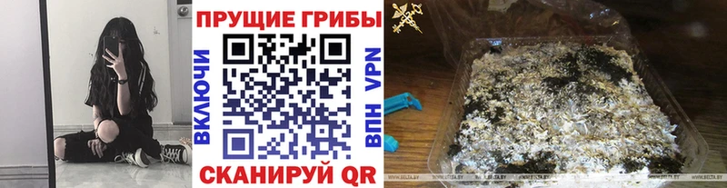 где можно купить   Коркино  Галлюциногенные грибы мухоморы 